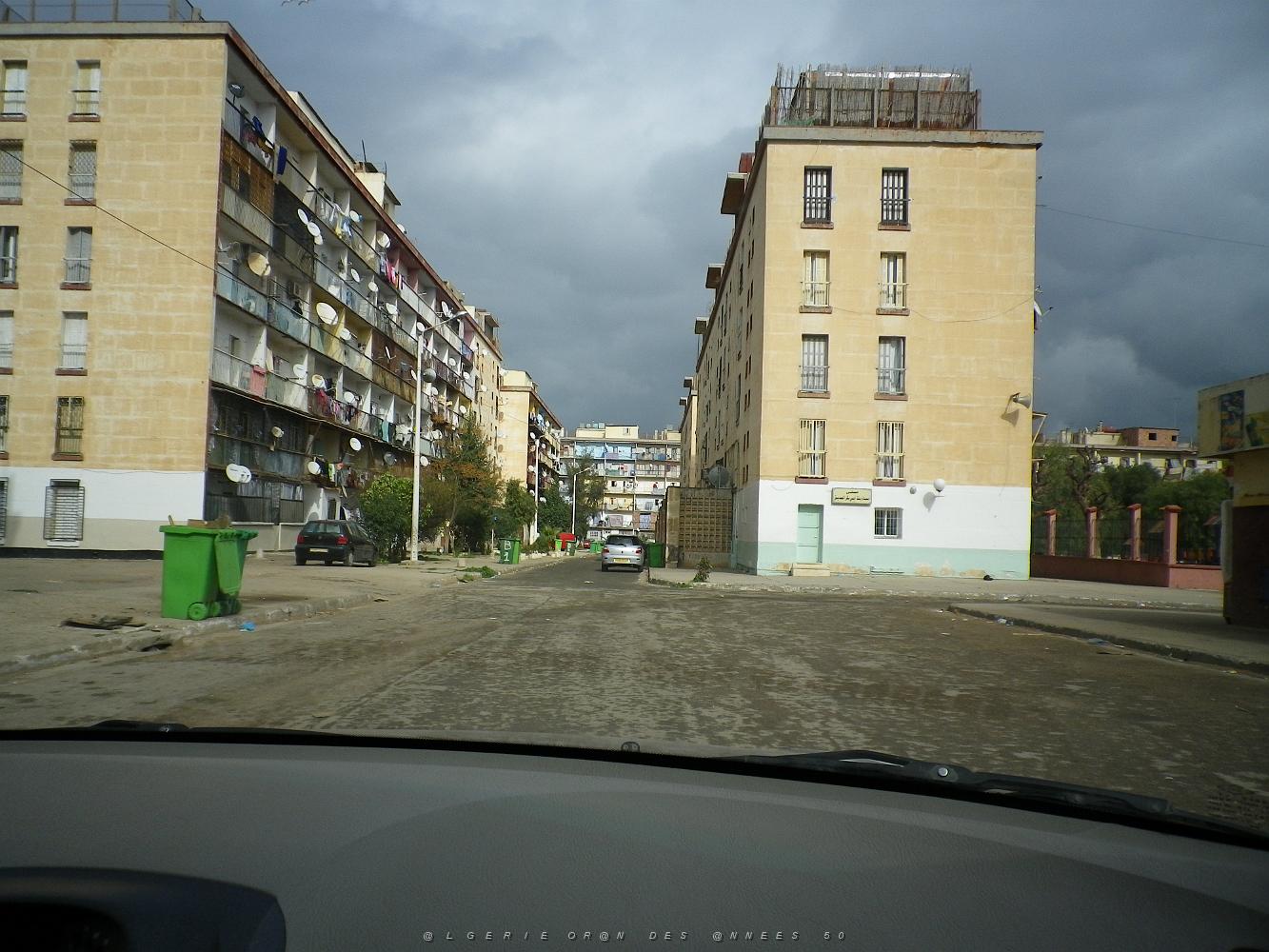 347 cite des lauriers roses.JPG